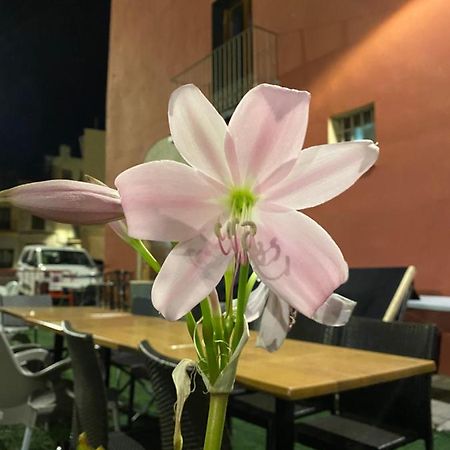 Restaurant & Rooms Cabrit Σαντ Ματέου Εξωτερικό φωτογραφία