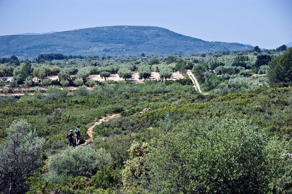 Restaurant & Rooms Cabrit Σαντ Ματέου Εξωτερικό φωτογραφία